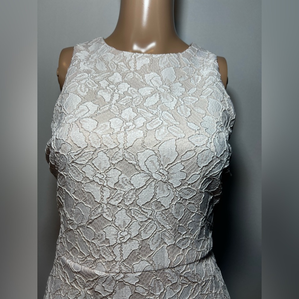 Taylor White Lace Mini Dress with Tan Feather Trim - Picture 4 of 10